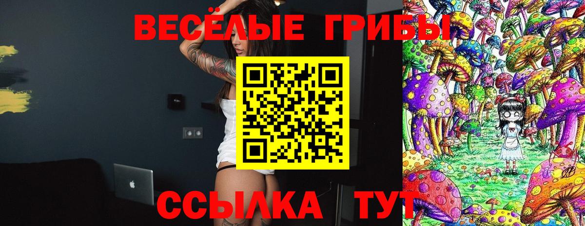 Галлюциногенные грибы Psilocybine cubensis  Вход с VPN  Горно-Алтайск 