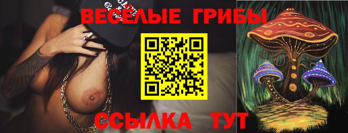 Псилоцибиновые грибы Cubensis Горно-Алтайск